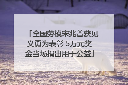 全国劳模宋兆普获见义勇为表彰 5万元奖金当场捐出用于公益