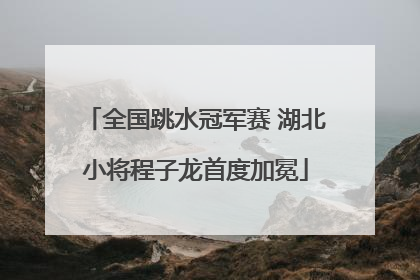 全国跳水冠军赛 湖北小将程子龙首度加冕