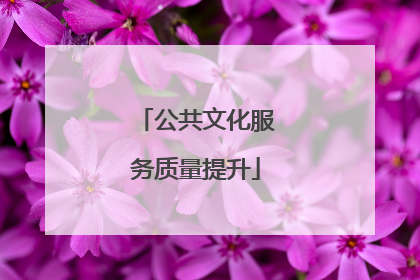 公共文化服务质量提升