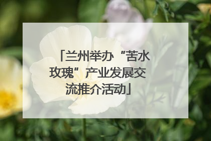 兰州举办“苦水玫瑰”产业发展交流推介活动