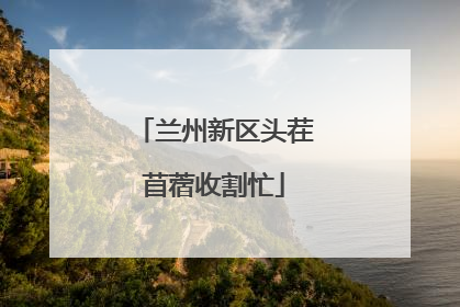 兰州新区头茬苜蓿收割忙