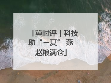 冀时评｜科技助“三夏” 燕赵粮满仓