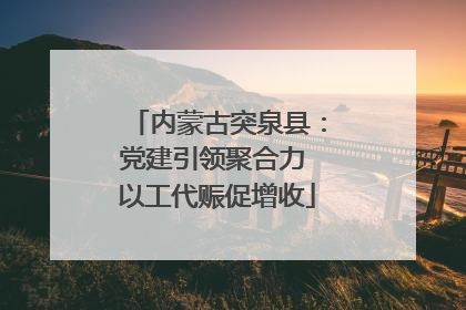 内蒙古突泉县：党建引领聚合力 以工代赈促增收