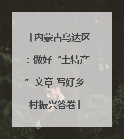 内蒙古乌达区：做好“土特产”文章 写好乡村振兴答卷