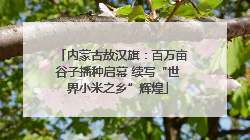 内蒙古敖汉旗：百万亩谷子播种启幕 续写“世界小米之乡”辉煌