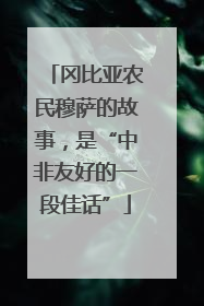 冈比亚农民穆萨的故事，是“中非友好的一段佳话”