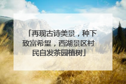 再现古诗美景，种下致富希望，西湖景区村民自发茶园植树