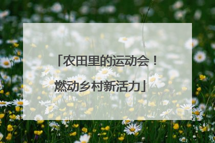 农田里的运动会！燃动乡村新活力