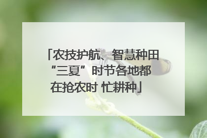 农技护航、智慧种田 “三夏”时节各地都在抢农时 忙耕种