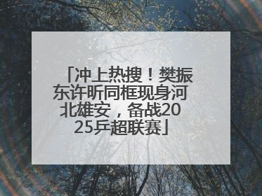 冲上热搜！樊振东许昕同框现身河北雄安，备战2025乒超联赛
