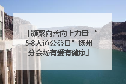 凝聚向善向上力量 “5·8人道公益日”扬州分会场有爱有健康