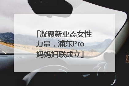 凝聚新业态女性力量，浦东Pro妈妈妇联成立