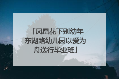 凤凰花下别幼年 东湖路幼儿园以爱为舟送行毕业班