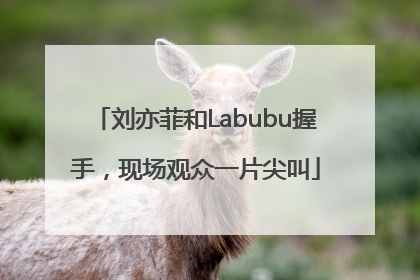 刘亦菲和Labubu握手，现场观众一片尖叫