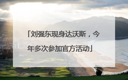 刘强东现身达沃斯，今年多次参加官方活动