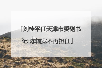 刘桂平任天津市委副书记 陈辐宽不再担任