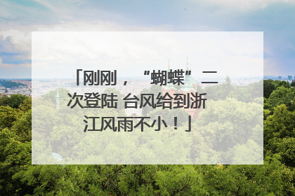 刚刚，“蝴蝶”二次登陆 台风给到浙江风雨不小！