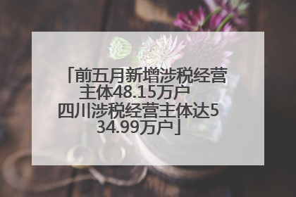 前五月新增涉税经营主体48.15万户 四川涉税经营主体达534.99万户