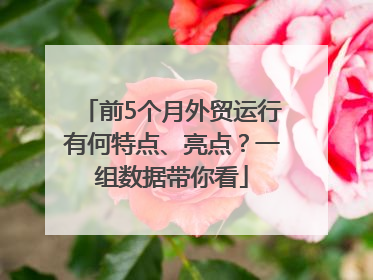 前5个月外贸运行有何特点、亮点？一组数据带你看