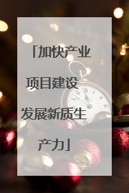 加快产业项目建设 发展新质生产力