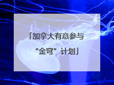 加拿大有意参与“金穹”计划