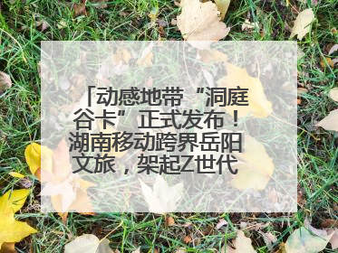 动感地带“洞庭谷卡”正式发布！湖南移动跨界岳阳文旅，架起Z世代文化共振桥梁