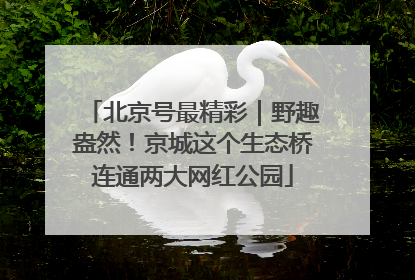 北京号最精彩｜野趣盎然！京城这个生态桥连通两大网红公园
