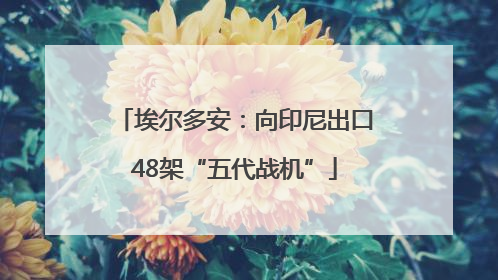 埃尔多安：向印尼出口48架“五代战机”
