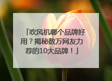 吹风机哪个品牌好用？揭秘数万网友力荐的10大品牌！