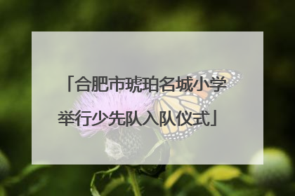 合肥市琥珀名城小学举行少先队入队仪式