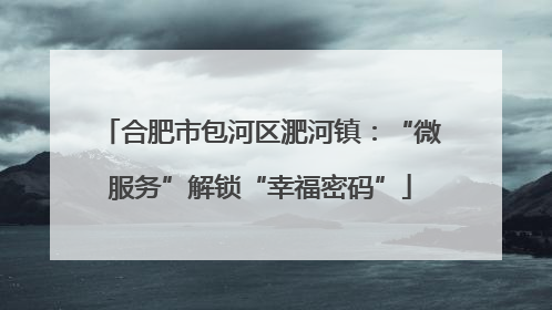 合肥市包河区淝河镇：“微服务”解锁“幸福密码”