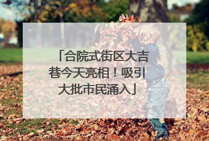 合院式街区大吉巷今天亮相！吸引大批市民涌入