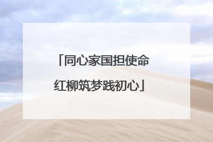 同心家国担使命 红柳筑梦践初心
