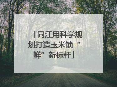 同江用科学规划打造玉米锁“鲜”新标杆