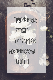 向沙地要“产值”——辽宁科尔沁沙地兴绿见闻