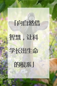 向自然借智慧，让科学长出生命的根系
