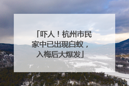 吓人！杭州市民家中已出现白蚁，入梅后大爆发