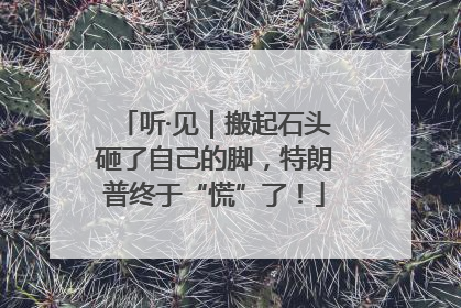 听·见｜搬起石头砸了自己的脚，特朗普终于“慌”了！