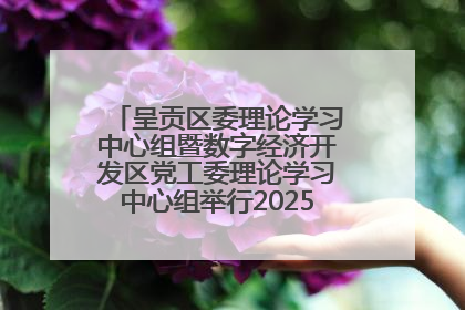 呈贡区委理论学习中心组暨数字经济开发区党工委理论学习中心组举行2025年第七次学习会议