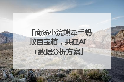 商汤小浣熊牵手蚂蚁百宝箱，共建AI+数据分析方案