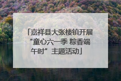 嘉祥县大张楼镇开展“童心六一季 粽香端午时”主题活动