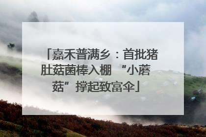 嘉禾普满乡：首批猪肚菇菌棒入棚 “小蘑菇”撑起致富伞