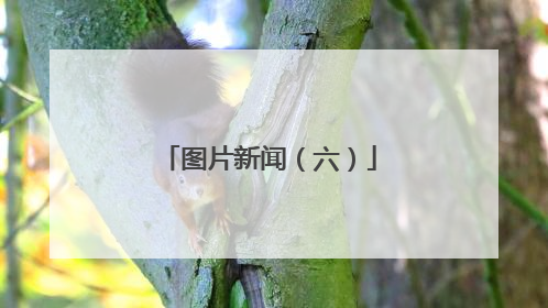 图片新闻（六）