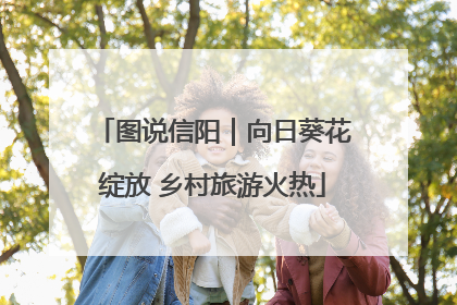 图说信阳｜向日葵花绽放 乡村旅游火热