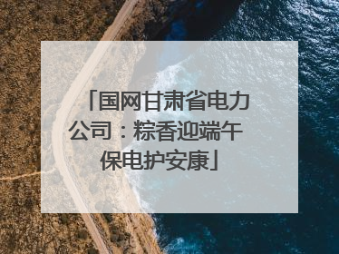 国网甘肃省电力公司：粽香迎端午 保电护安康