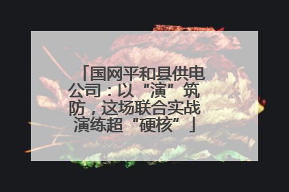 国网平和县供电公司：以“演”筑防，这场联合实战演练超“硬核”
