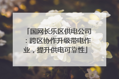 国网长乐区供电公司：跨区协作升级带电作业，提升供电可靠性