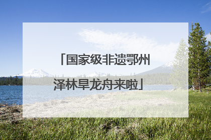 国家级非遗鄂州泽林旱龙舟来啦