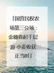 国营民权农场第三分场：金穗卷起千层浪 小麦收获正当时