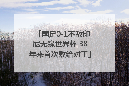 国足0-1不敌印尼无缘世界杯 38年来首次败给对手